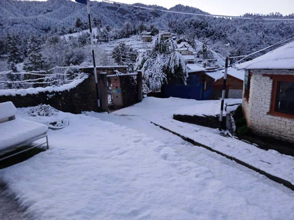 म्याग्दीमा बेमौसमी हिमपातले हिउँदेबाली नष्ट (फोटो फिचर)
