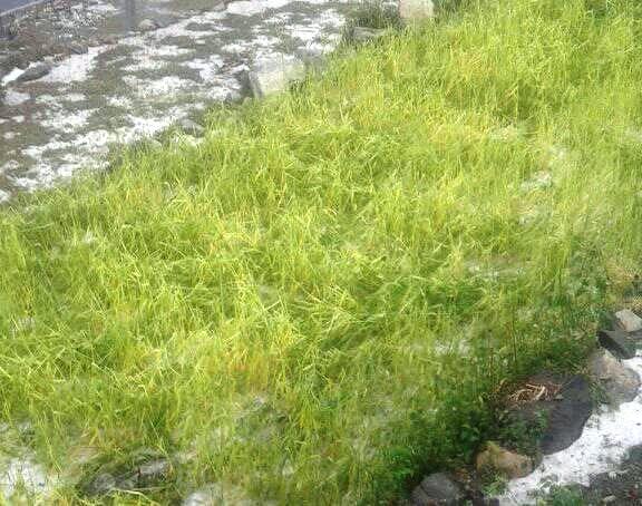 मध्यरातमा परेको भिषण असिनापानी र बाढीले ठुलो क्षती (तस्बिर सहित )