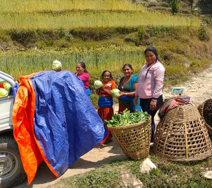 मजदुर तथा विपन्न परिवारलाई तरकारी वितरण