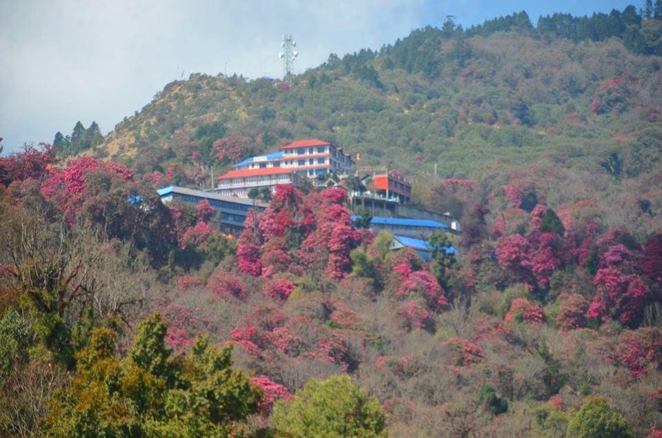 घोडेपानी घुम्न  गएका दुई जना चिनिया पर्यटकलाई उद्धार गरेर क्वारेन्टाइनमा