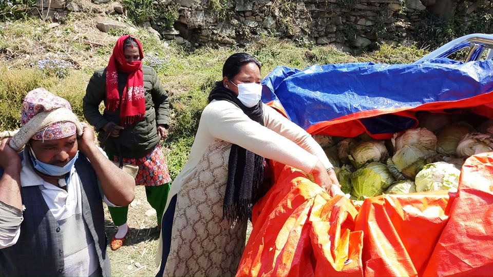 जलजला गाउँपालिकाकी उपाध्यक्ष गर्बुजा पुनद्धारा विपन्नलाई तरकारी वितरण