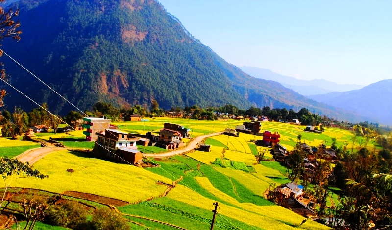 बुबाको हत्या गरेको अभियोगमा एक युवा पक्राउ