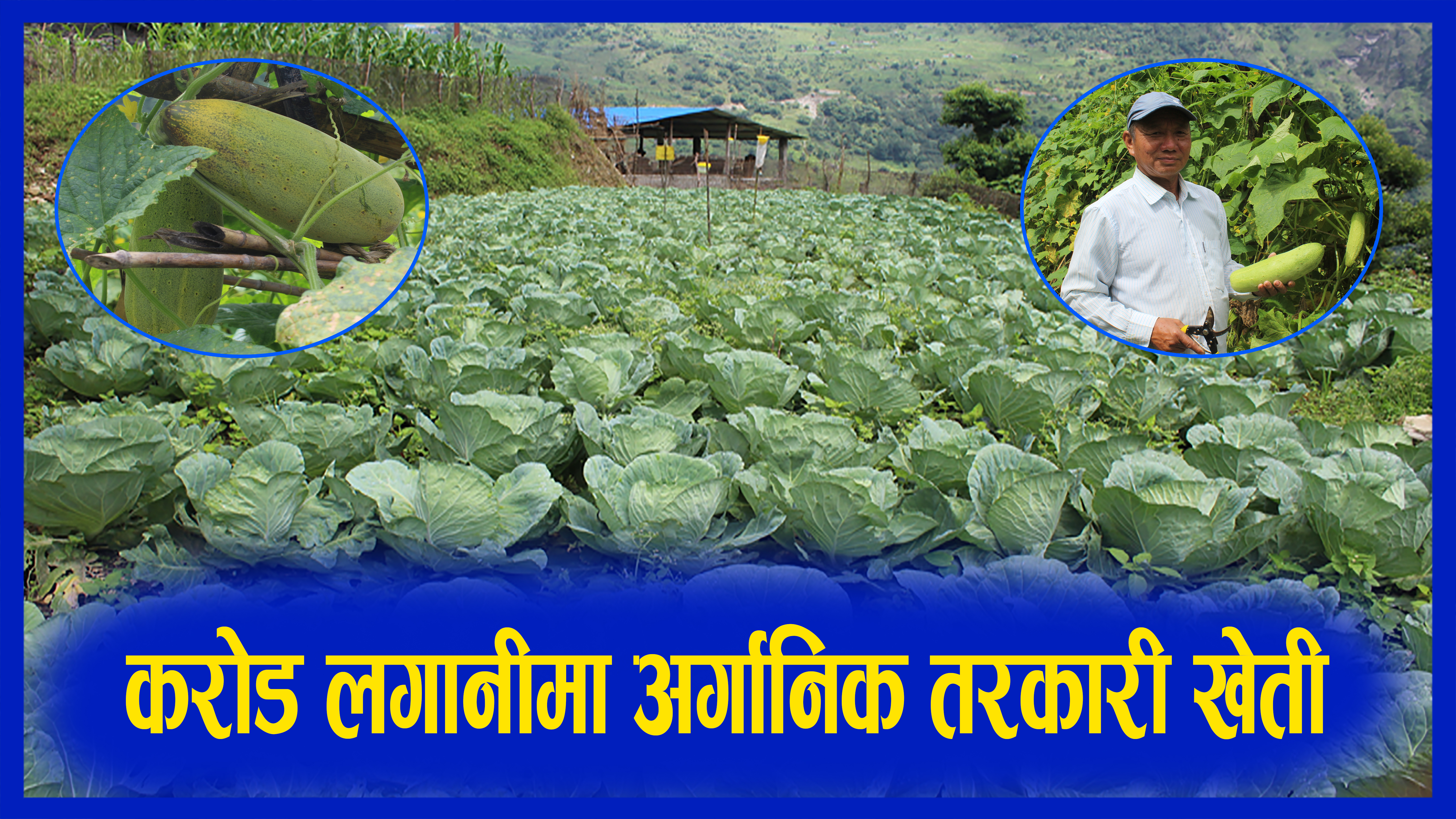 करोड लगानीमा हिदिमा अर्गानिक तरकारी खेती (फोटो/भिडिओ )