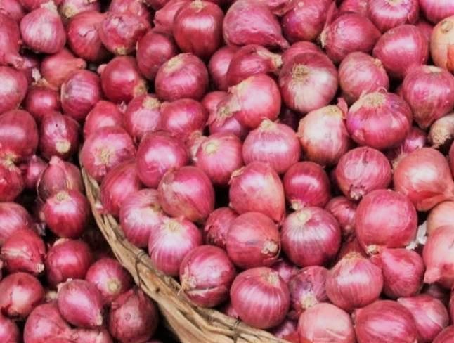 भारतद्वारा प्याजको निर्यातमा रोक