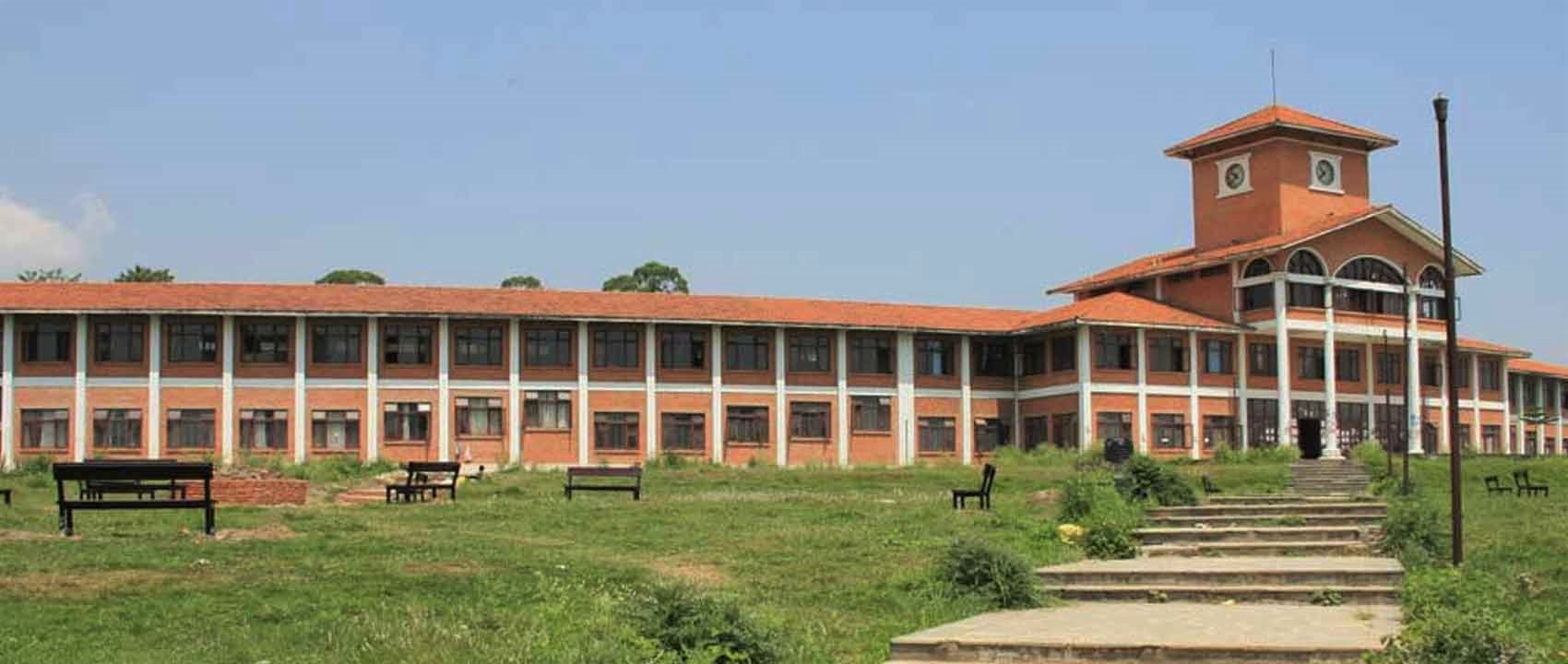 त्रिविका उपप्राध्यापकमाथि रड प्रहार