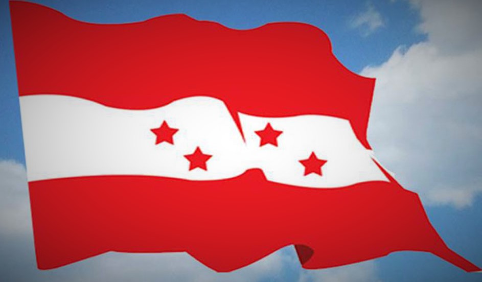 कांग्रेसको युरोप र अफ्रिकी महादेशमा शाखा गठन