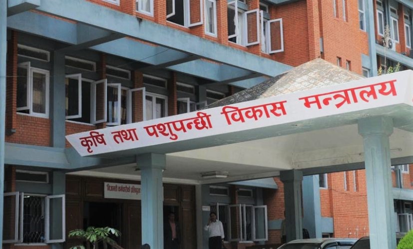 बासमती धानमा नेपालले दाबी पेश गर्ने