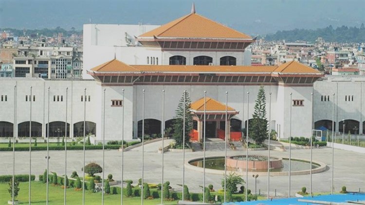 संसद् विघटनमा ३३ प्रवासी नेपाली मञ्चको समर्थन