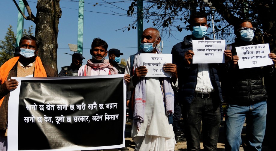 बक्यौता रकम नपाएपछि सर्लाहीका उखु किसान प्रदर्शनमा