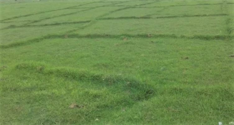 भूमाफियाले हत्याएको गुठीको जग्गा २३ वर्षपछि फिर्ता