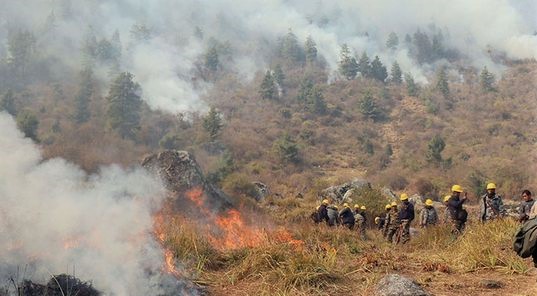 मनाङको थोचेमा आगलागीः मानव बस्ती जोगाउनै हम्मेहम्मे