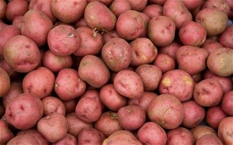 स्याङ्जामा फागुन ७ र ८ गते प्रथम आलु महोत्सव हुने