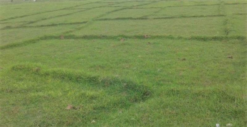 बागलुङमा डेढ वर्षभित्रै भूमिहीनलाई जग्गा दिने तयारी