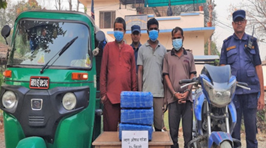 लालबन्दीमा अटोबाट १५ किलो गाँजा बरामद, ३ जना पक्राउ