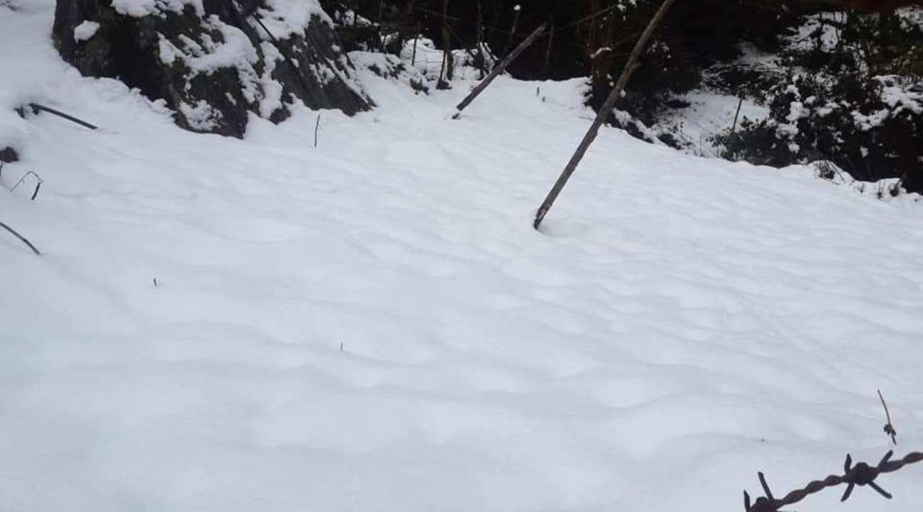 यार्सागुम्बा सङ्कलन गर्न गएका एक जना हिउँ पहिरोमा परी वेपत्ता