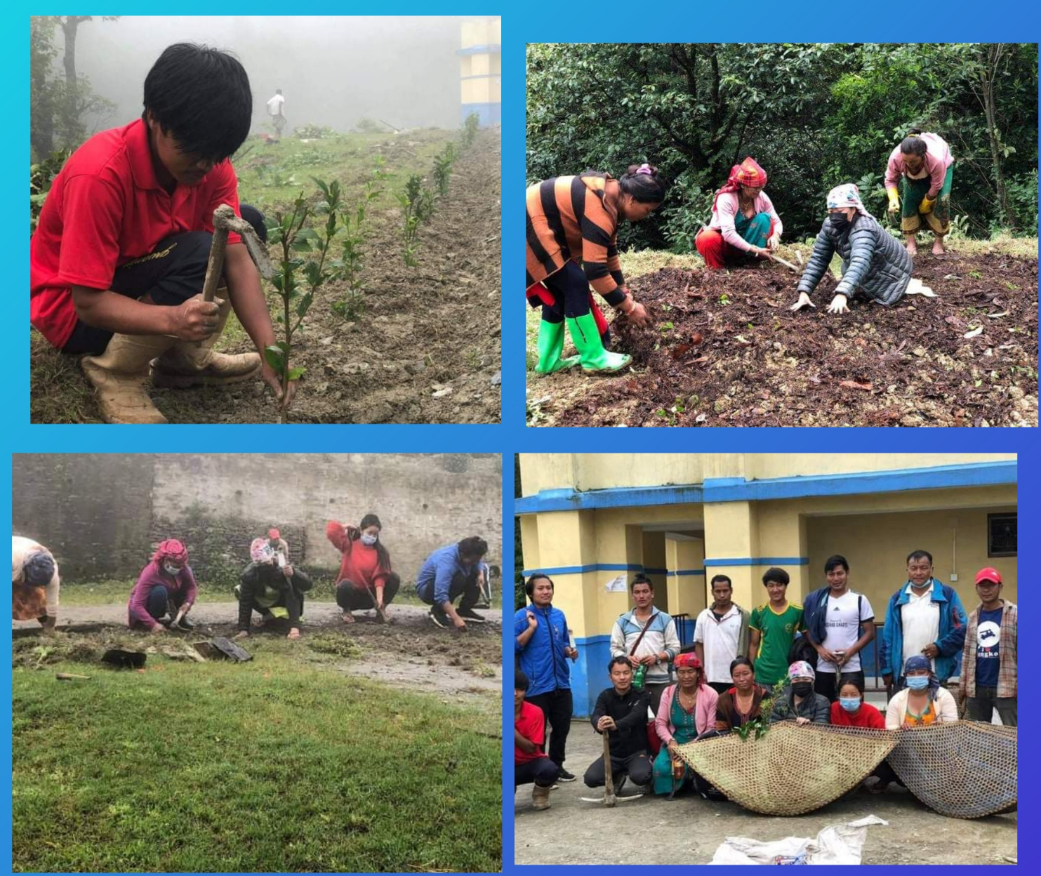 सविनाको १३ औं पुण्यतिथिको अवसरमा स्वास्थ्य चौकी परिसरमा वृक्षरोपण (तस्विर सहित)