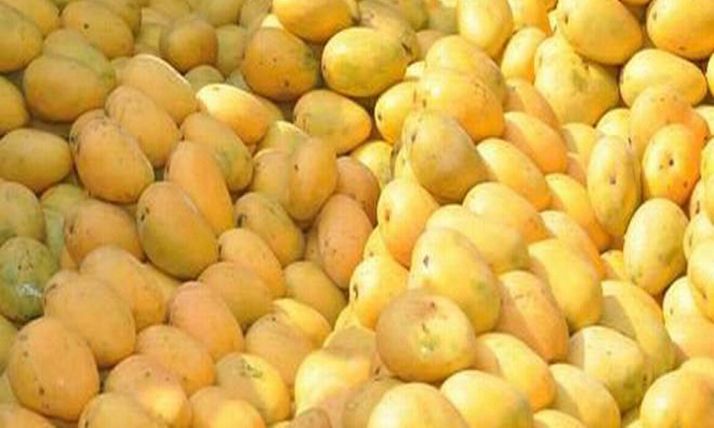 गाईघाट बजार क्षेत्रमा विषादीयुक्त आँप बिक्री