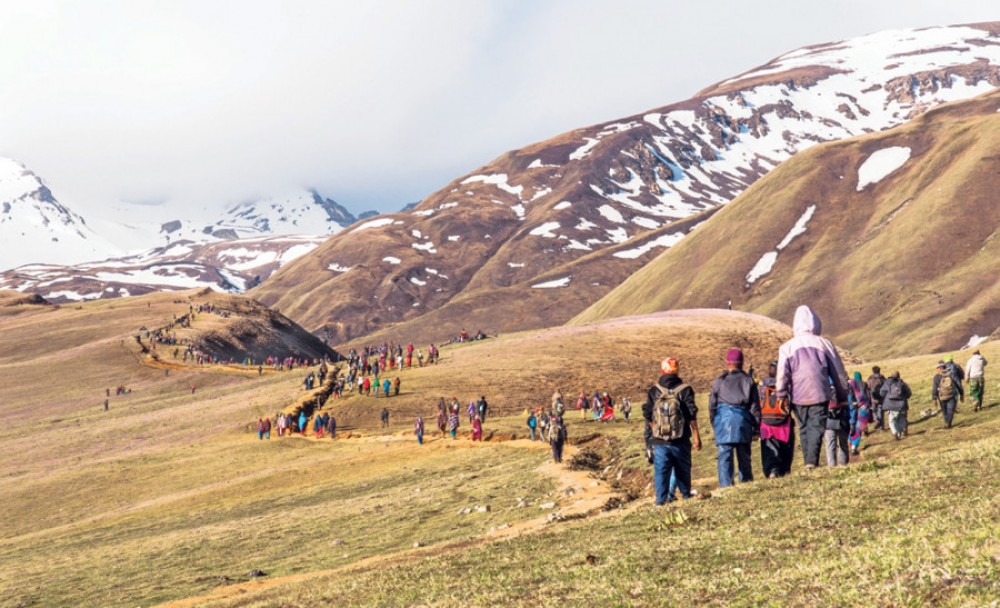 हिमाली क्षेत्रको जनताका लागि काल बन्दै यार्सागुम्बा