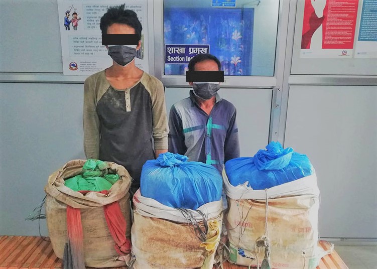४० किलो गाँजासहित पर्साबाट दुई पक्राउ