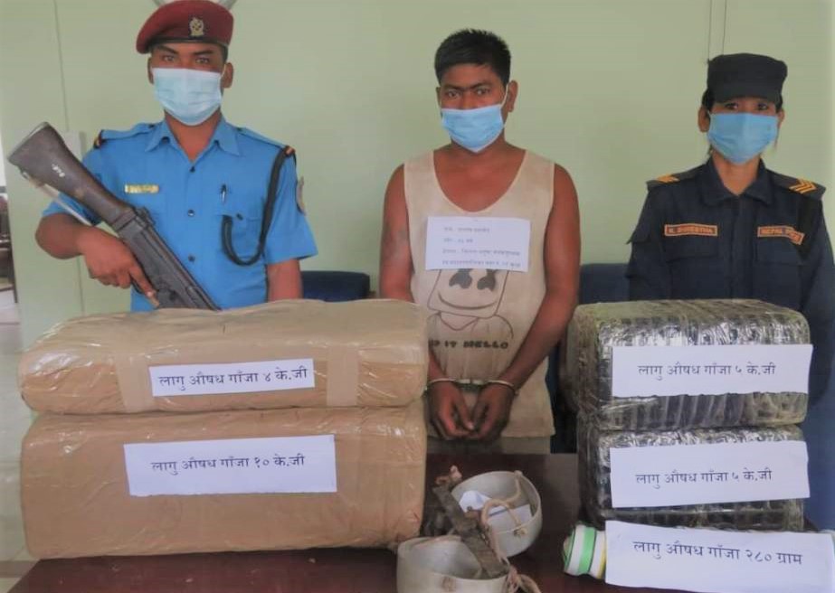 २०४ किलो गाँजासहित एक पक्राउ