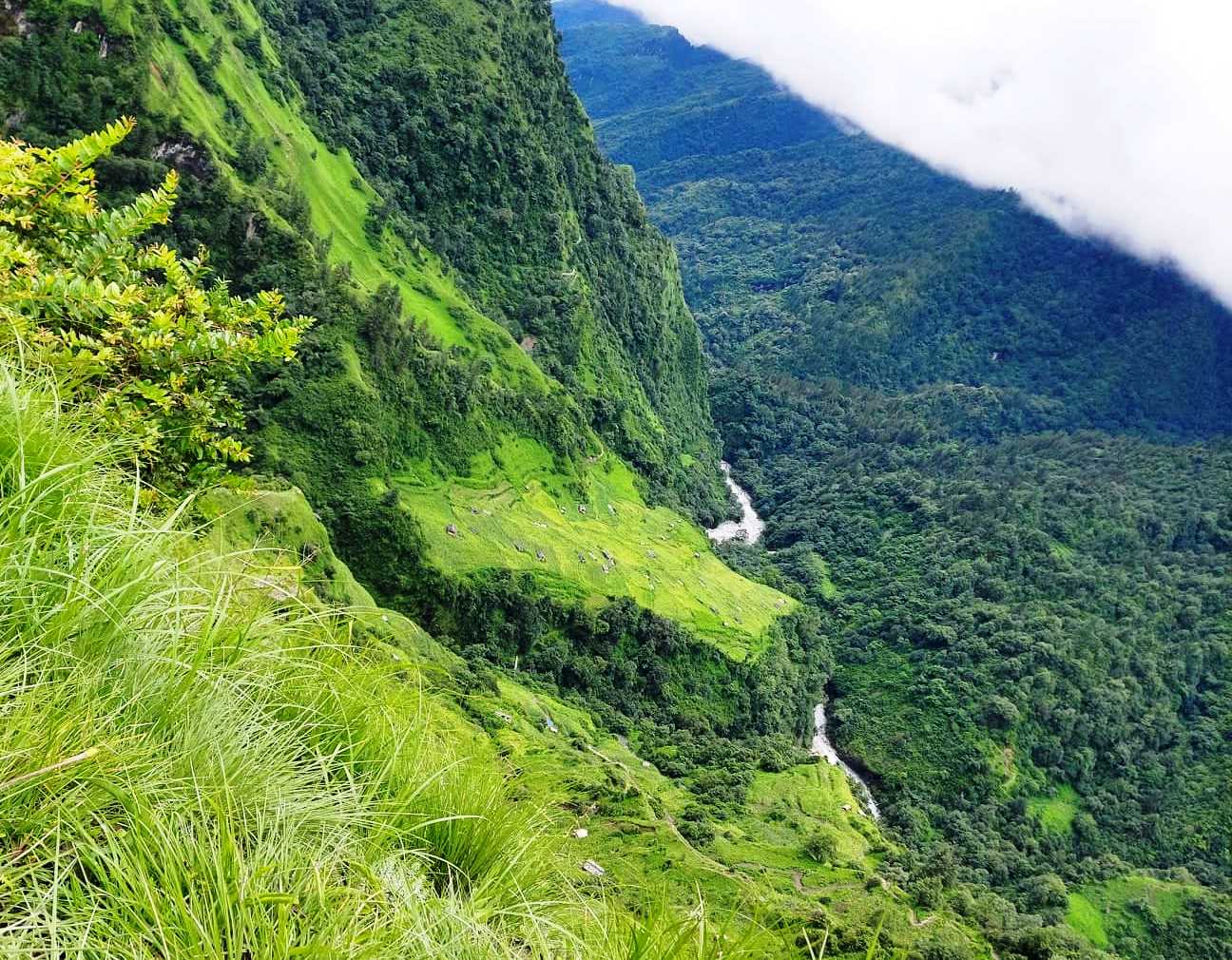 पहिरोले गुर्जा खोला थुनीयो,तटिय क्षेत्रमा उच्च सतर्कता अपनाउन आग्रह