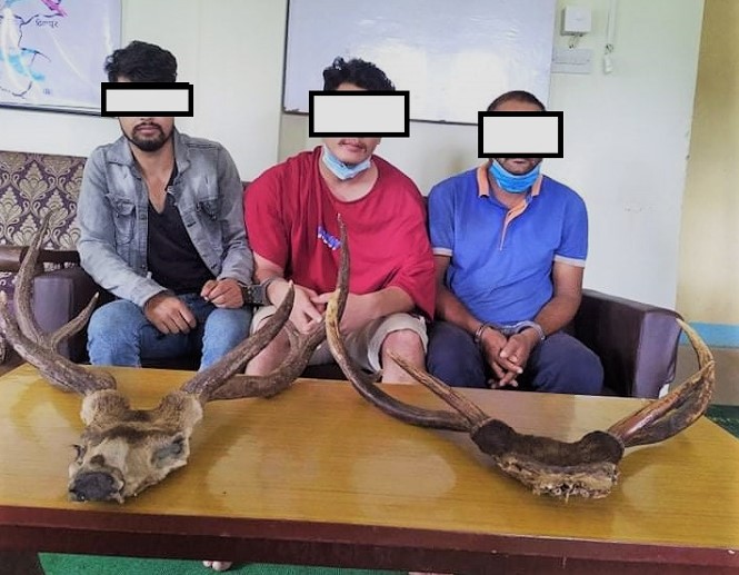 जरायोको सिङसहित तीनजना पक्राउ