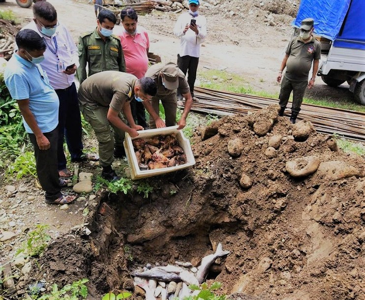 बुटवलमा बजार अनुगमनका क्रममा सडेको माछामासु भेटियो