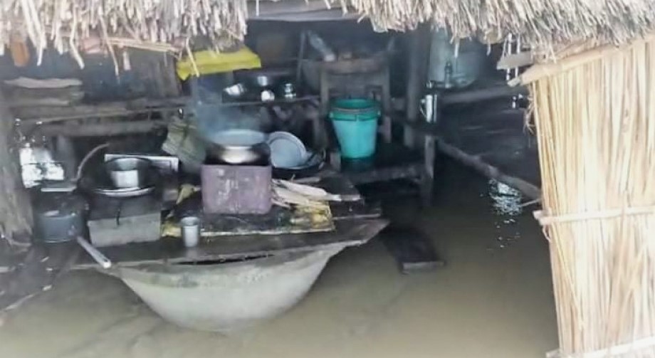 सप्तकोसीमा आएको बाढीले गोबरगाढा बस्ती डुबानमा