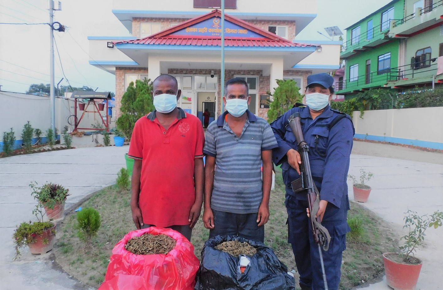 सात किलो गाँजासहित दुई जना पक्राउ