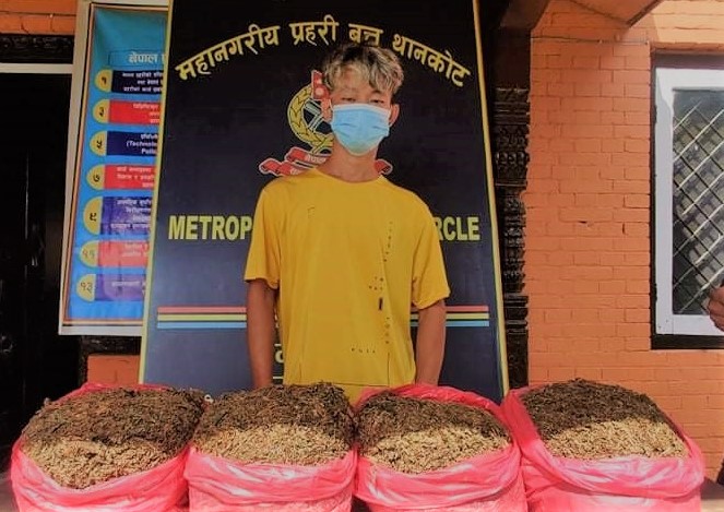चार किलो गाँजासहित एक युवा पक्राउ