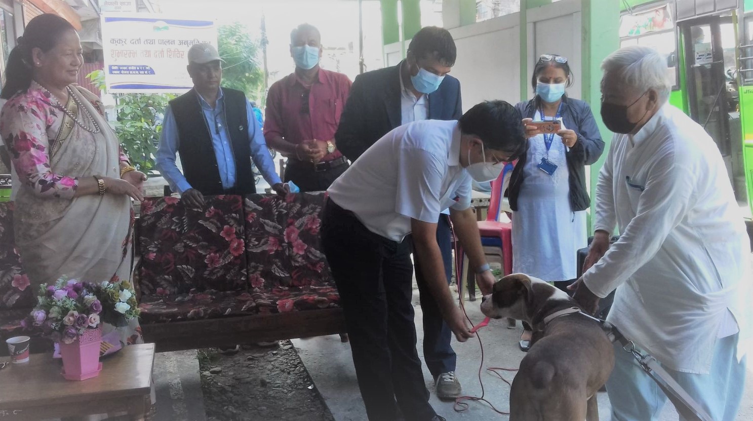 पोखरामा दर्ता गरेर मात्रै कुकुर पाल्न पाइने !