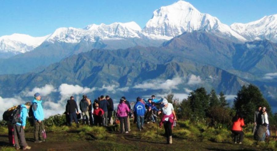 अनअराइभल भिसाले पर्यटक बढे
