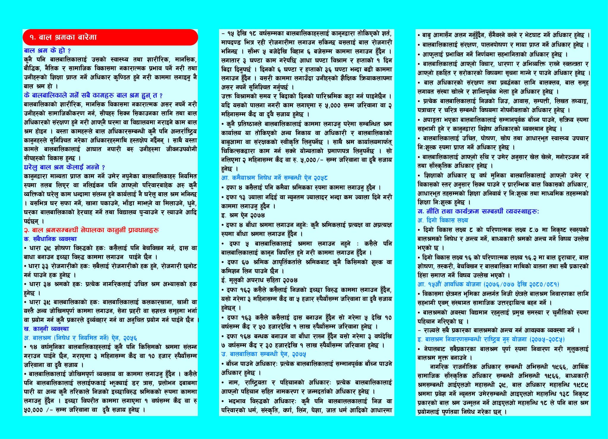 बेगखोलालाई बाल श्रममुक्त वडा घोषणा (तस्बिरहरु)