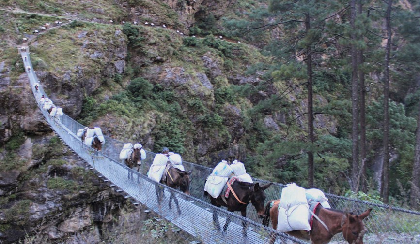 गोरखाका उत्तरी नाका दुई वर्षदेखि ठप्प