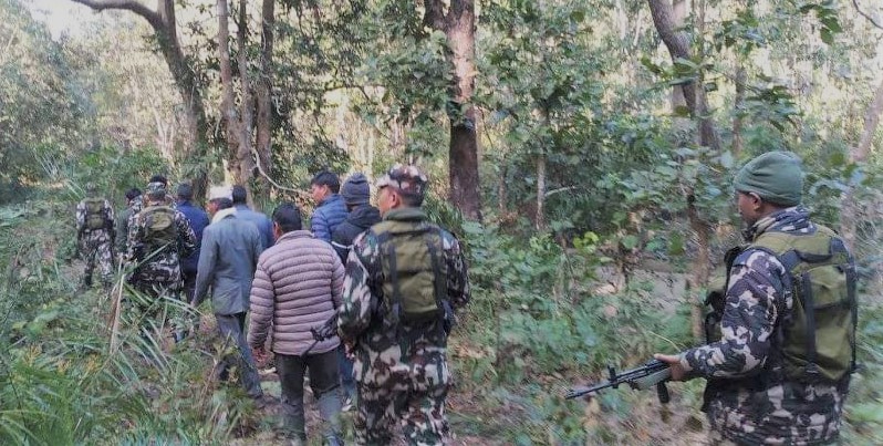 आजदेखि बाँकेमा नरभक्षी बाघको खोजी सुरू