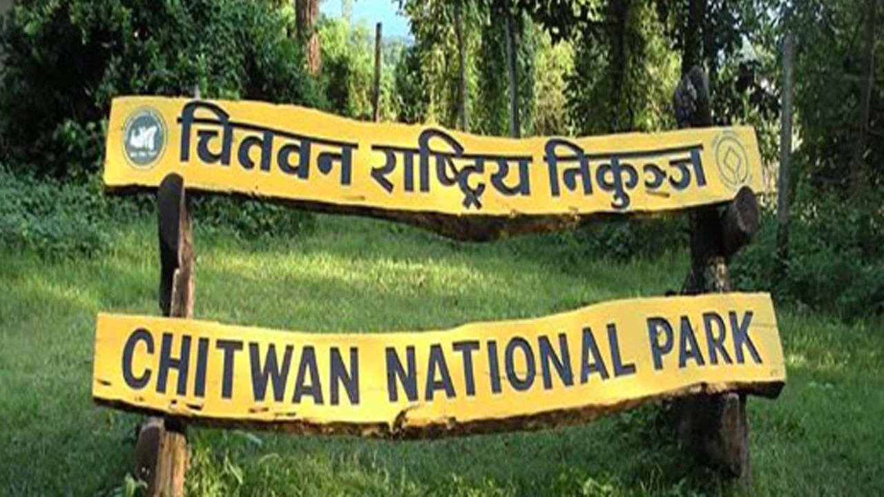 सडकको लापरबाहीले गैँडा मर्‍यो : चितवन राष्ट्रिय निकुञ्ज