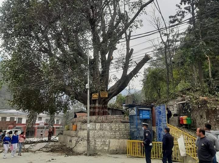 बेनीमा पिपलको रुखबाट खसेर पुनको मृत्यु