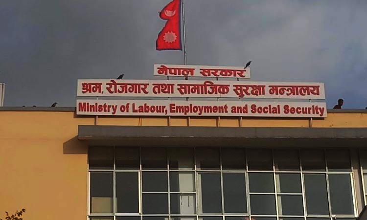विदेशबाट फर्केर उद्यमी बनेकालाई सरकारले नगदसहित पुरस्कृत गर्ने