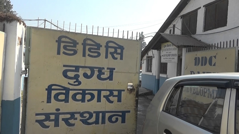 दुग्ध विकास संस्थानको महाप्रबन्धक पदमा दरखास्त आह्वान