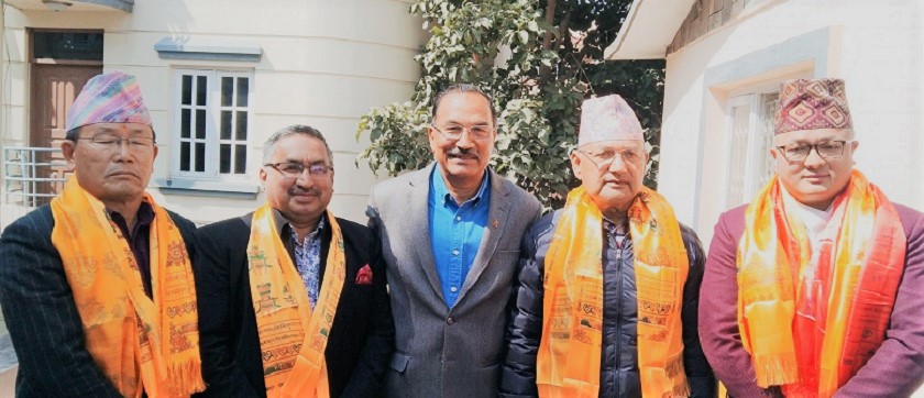 कमल थापाद्वारा ६ जना पदाधिकारी मनोनयन