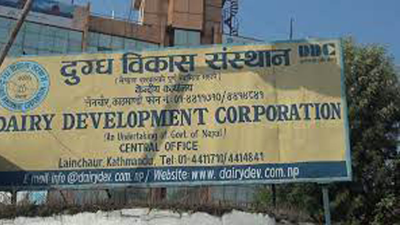 दुग्ध विकास संस्थानको महाप्रबन्धकमा झा नियुक्त