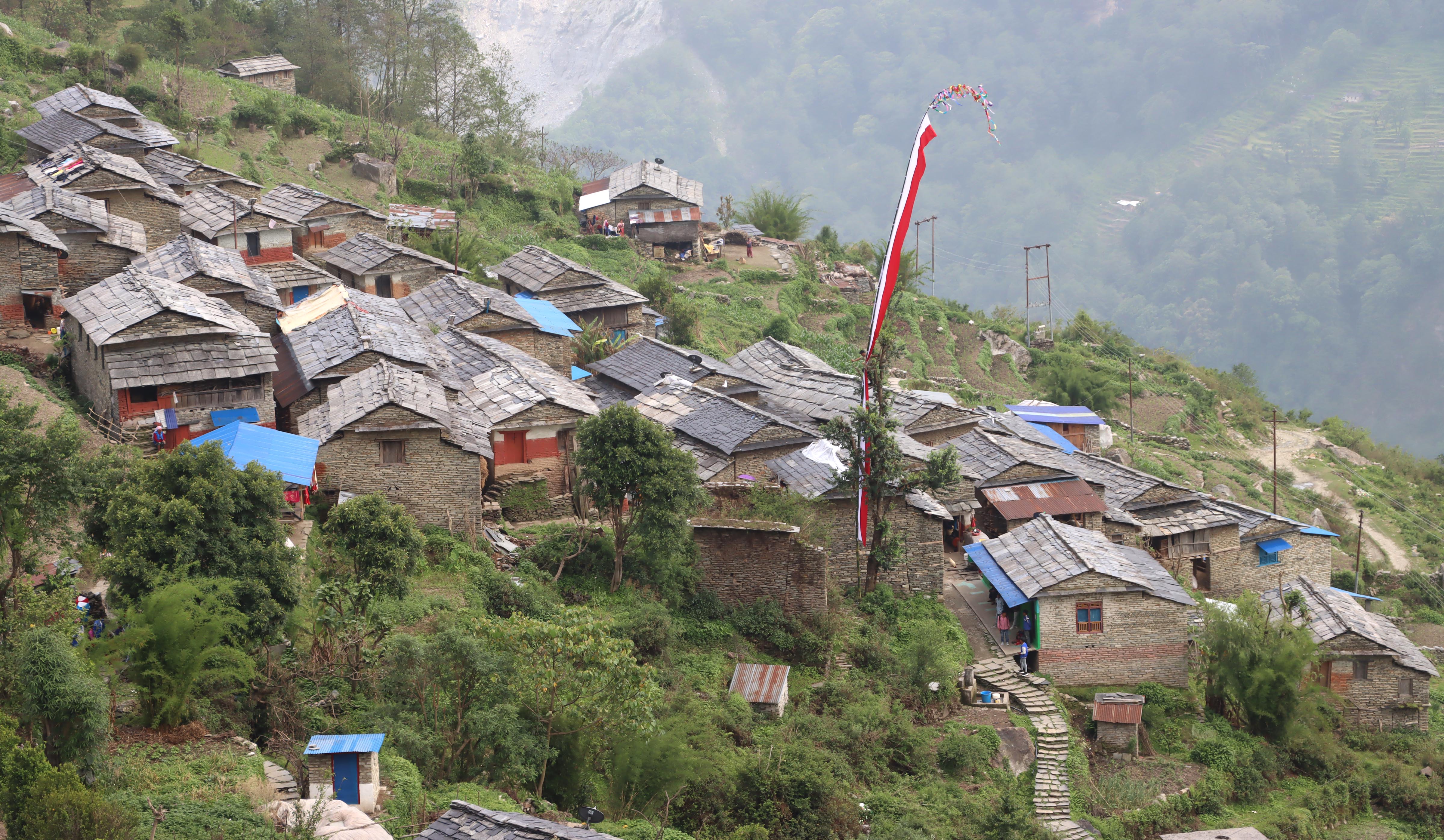 दग्नाम भुमे पुजाको लिङ्गो जुधाइ,कान्छी गाउँ बिजयी