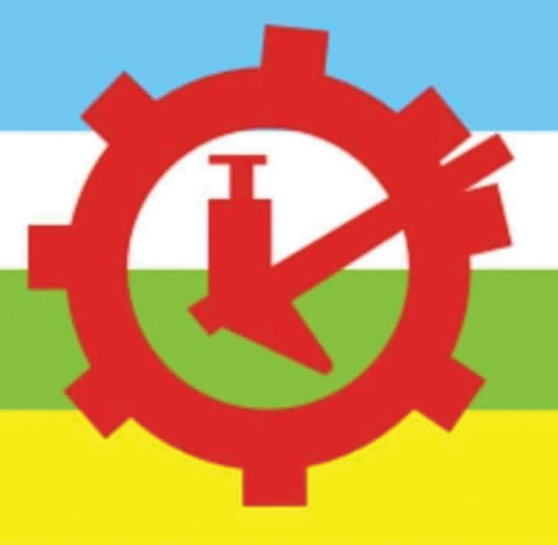 राप्रपा २ पालिकासहित ५५ वडाअध्यक्षमा विजयी