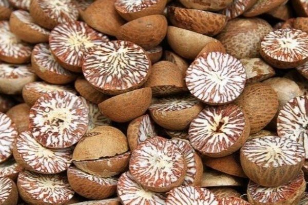सुपारी तस्करीको धन्दामा ‘ब्रेक’ लगाउन अन्तःशुल्क चार गुणा वृद्धि