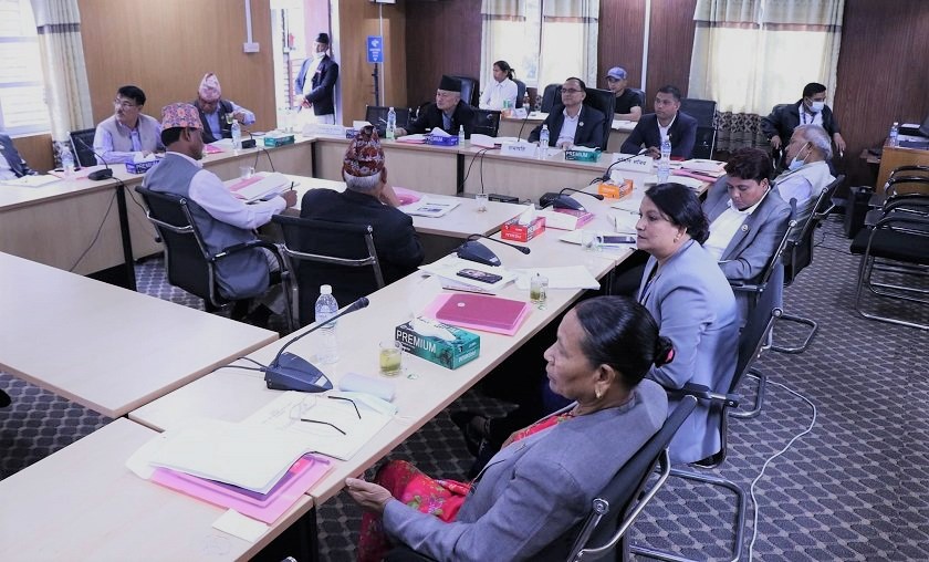 सांसदको प्रस्ताव : दाइजोको नाममा गरिने हिंसालाई पनि यौनजन्य हिंसाको रुपमा लिनुपर्छ