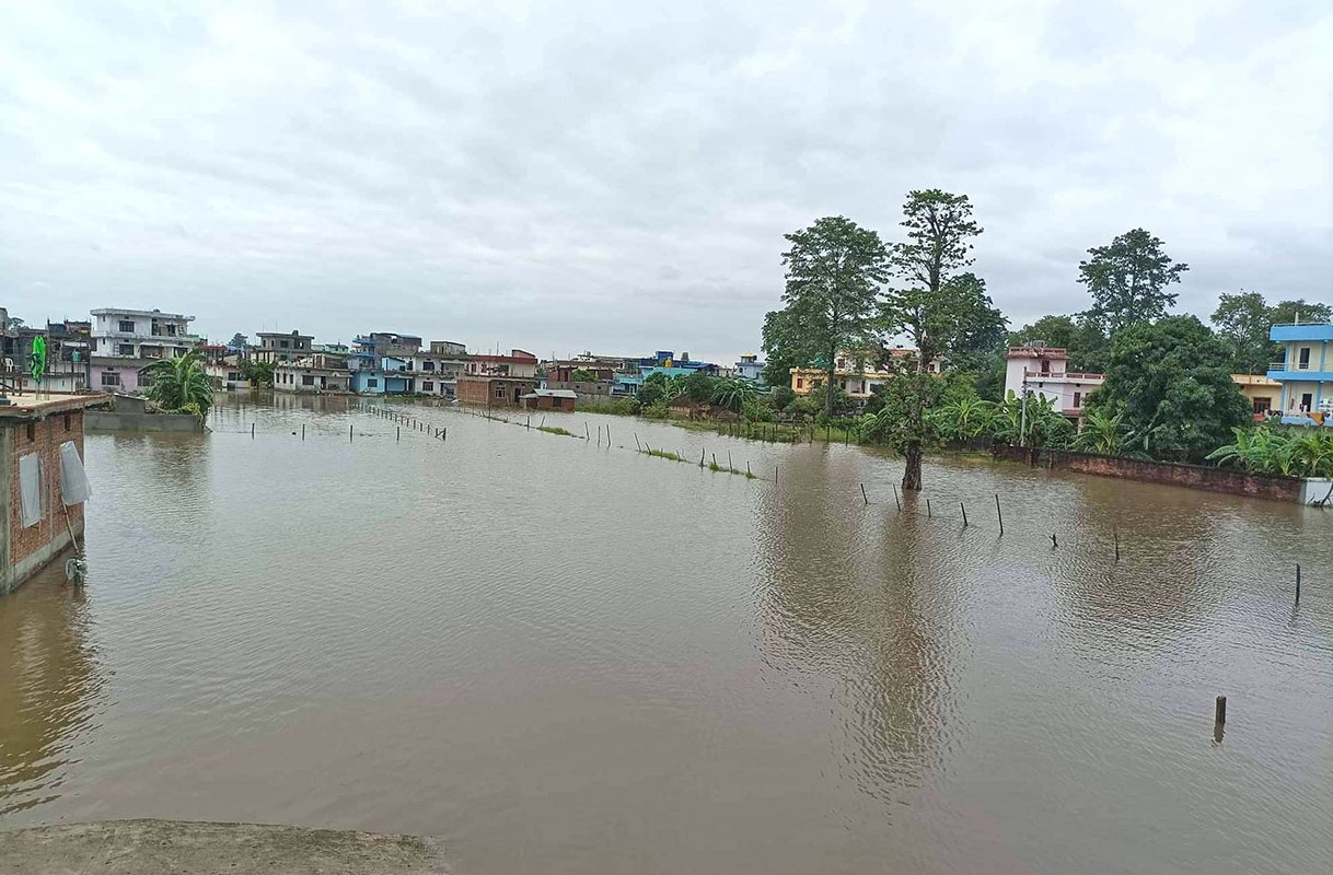 लगातारको वर्षापछि धनगढीको बजार क्षेत्र जलमग्न