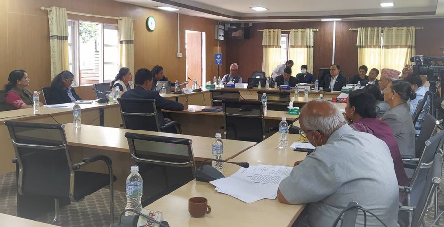 यौन हिंसामा परेकालाई राज्यकोषबाट क्षतिपूर्ति दिनु पर्नेमा जोड