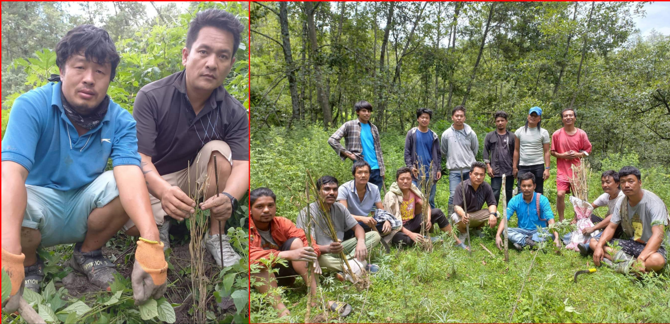 शिखमा युवा क्लबद्धारा वृक्षरोपण (तस्बिरहरु)