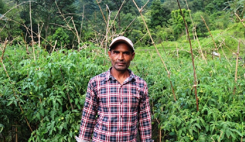 कृषिबाटै मनग्य आम्दानी गर्ने घिमिरे भन्छन् , ‘मन लगाएर व्यावसायिक कृषि गरे कमाउनकै लागि विदेश जानुपर्दैन’