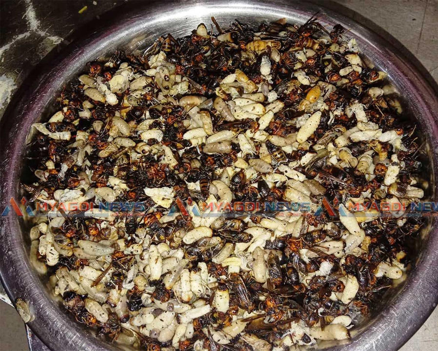म्याग्दीमा लोकप्रिय बन्दै अरिङ्गालका परिकार